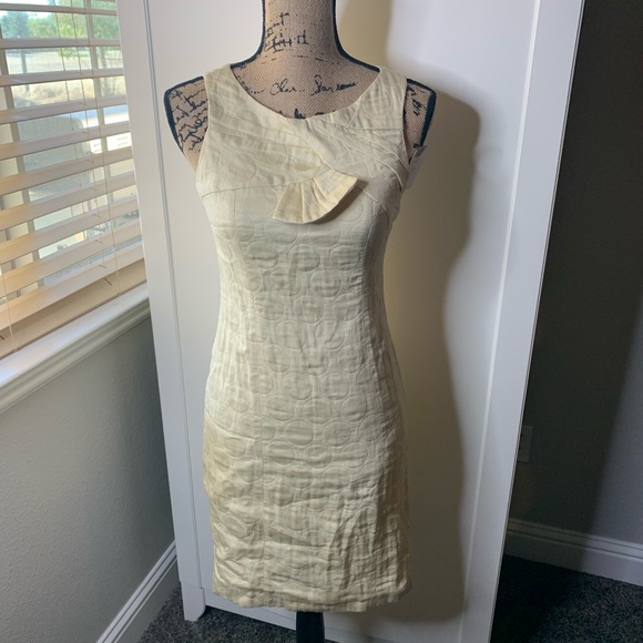 NWT Taylor Sheath Fan Top Tank Dress - Picture 1 of 11